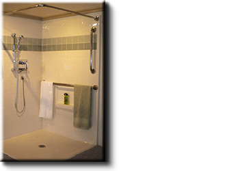 BATHROOM REMODELS AND MODIFICATIONS