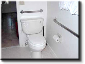 Handicapped Toilets